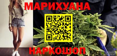 сатива Краснодар