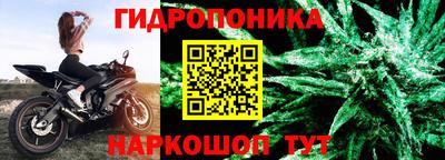 сатива Краснодар