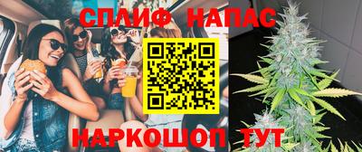 сатива Краснодар