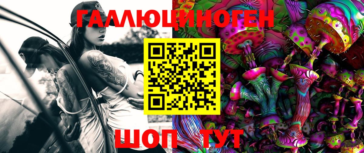 Донецк  Псилоцибиновые грибы Cubensis  Псилоцибиновые грибы прущие грибы  Вход с VPN 